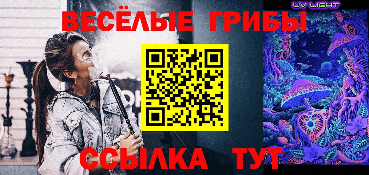 Псилоцибиновые грибы Cubensis Магадан
