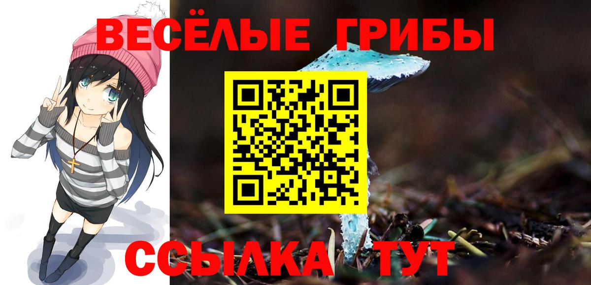 Магадан  Псилоцибиновые грибы Psilocybine cubensis  Вход с VPN 